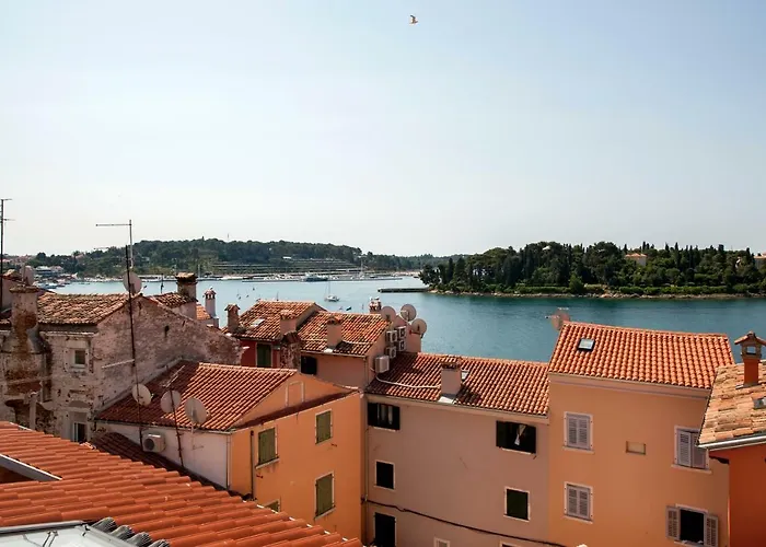 Villa Seaview! 3-Apartments In Old Town! * 로비니